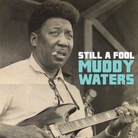 Who's Gonna Be Your Sweet Man When I'm Gone - Muddy Waters