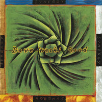 High Life - Dave Weckl Band