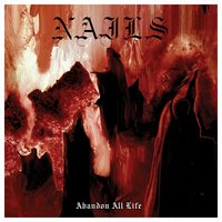 Absolute Control - Nails