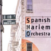 Tu Te Lo Pierdes - Rubén Blades, Spanish Harlem Orchestra