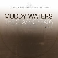 (I Feel Like) Going Home - Muddy Waters