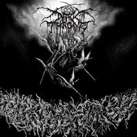Information Wants to Be Syndicated - Darkthrone