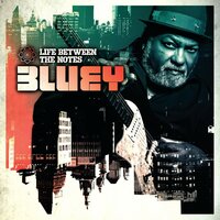 The Poetry of Life - Bluey