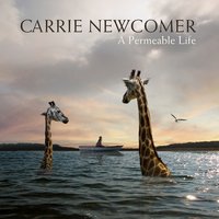 Room at the Table - Carrie Newcomer