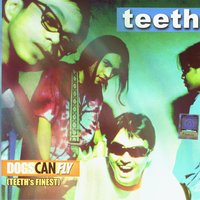 Dogs Can Fly - Teeth