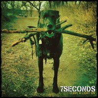 30 Years (And Still Going Wrong) - 7 Seconds