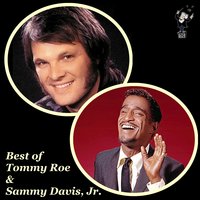 Hey Won't You Play Another Somebody Done Somebody Wrong Song - Sammy Davis, Jr.