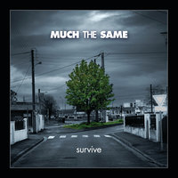 For Those Left Behind - Much The Same