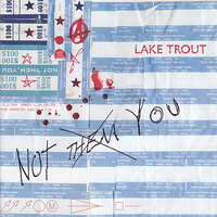 Now We Know - Lake Trout