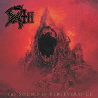 Flesh And The Power It Holds - Death