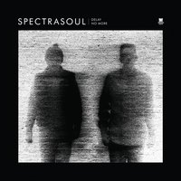 Sometimes We Lie... - SpectraSoul