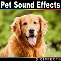 Digiffects Sound Effects Library