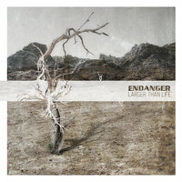 Never Be Good Again - Endanger