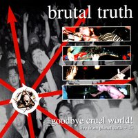 Vision - Brutal Truth