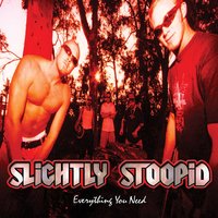 Questionable - Slightly Stoopid