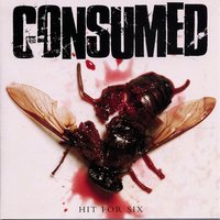 Butterside Down - Consumed