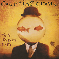 I Wish I Was A Girl - Counting Crows