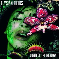 Tides Of The Moon - Elysian Fields
