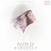 Chacun Ses Raisons - Niro