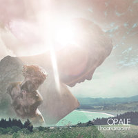 Sparkles and Wine - Opale