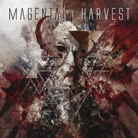 Magenta Harvest