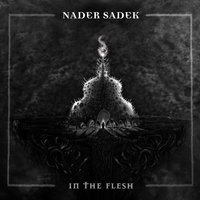 Of this flesh - Nader Sadek