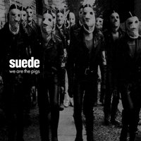 WHIPSNADE - Suede