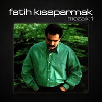 Sobalarında Kuru Meşe - Fatih Kısaparmak