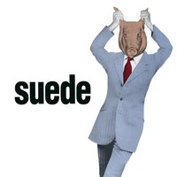 Animal Nitrate - Suede