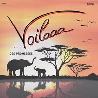 Des promesses - Voilaaa, Pat Kalla