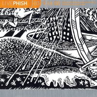 Driver - Phish