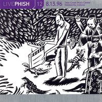 Fast Enough For You - Phish