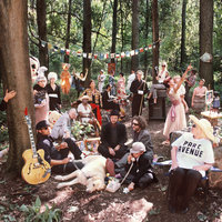 Early In The Morning - Plants and Animals