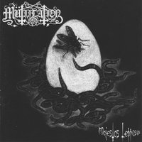 Beyond the Decay of Time and Flies - Mütiilation