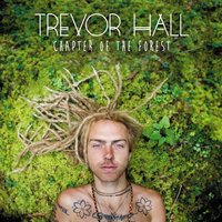 Great Mirror - Trevor Hall
