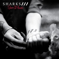 It All Relates - Sharks