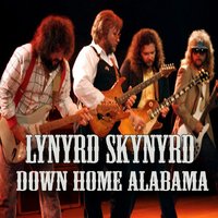 Working for Mca - Lynyrd Skynyrd