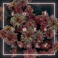 Gold Bones - Colours