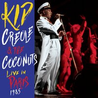 Dear Addy - Kid Creole And The Coconuts