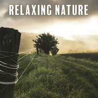 Deep Meditation - Healing Sounds for Deep Sleep and Relaxation