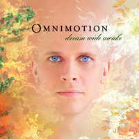 Wide Awake - Omnimotion, Krister Linder