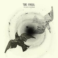 White Bird - The Coral
