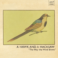 In The River - A Hawk And A Hacksaw