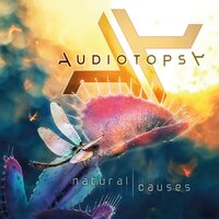 Swim - Audiotopsy