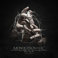 The Herd - Monochromatic Black