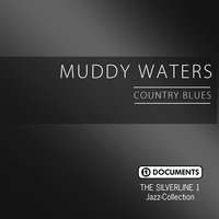 I Feel Like Goin' Home - Muddy Waters