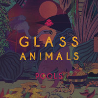 Pools - Glass Animals, Jackson And His Computer Band