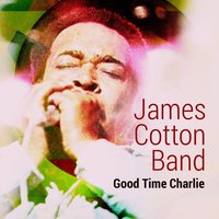 Diggin' My Potatoes - James Cotton Band