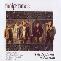 Must Ireland Divided Be - The Wolfe Tones