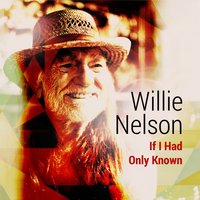 If I Had Only Known - Willie Nelson